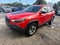 2019 Jeep Cherokee Trailhawk 4x4 4dr SUV