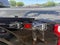 2019 Ford F-150 XLT 4x4 4dr SuperCrew 5.5 ft. SB